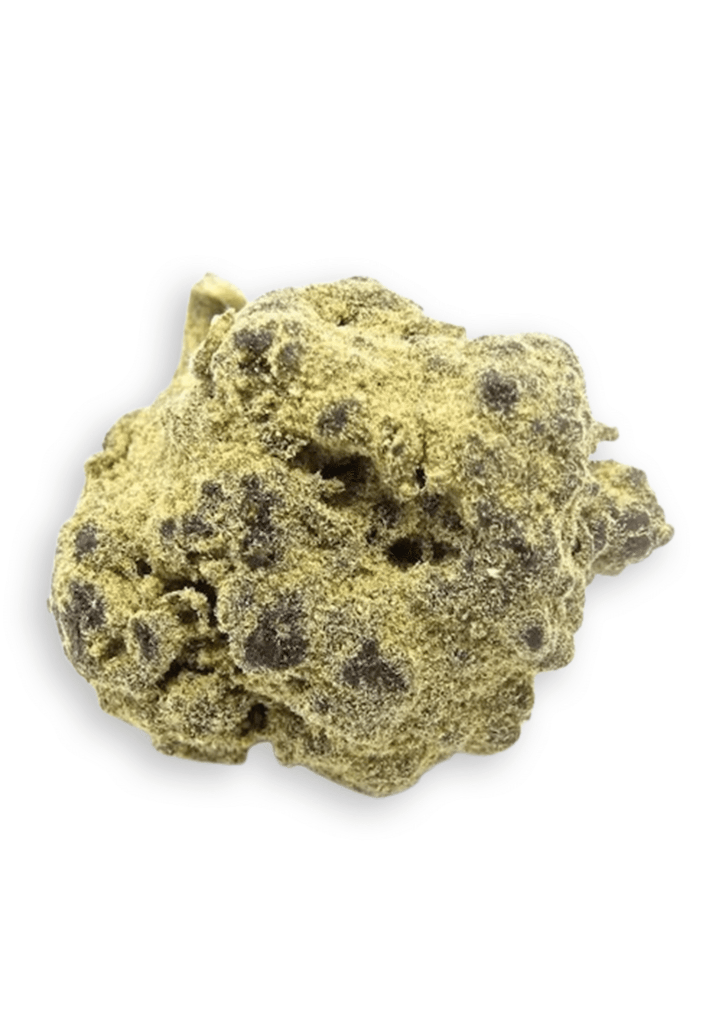 Moon Rocks