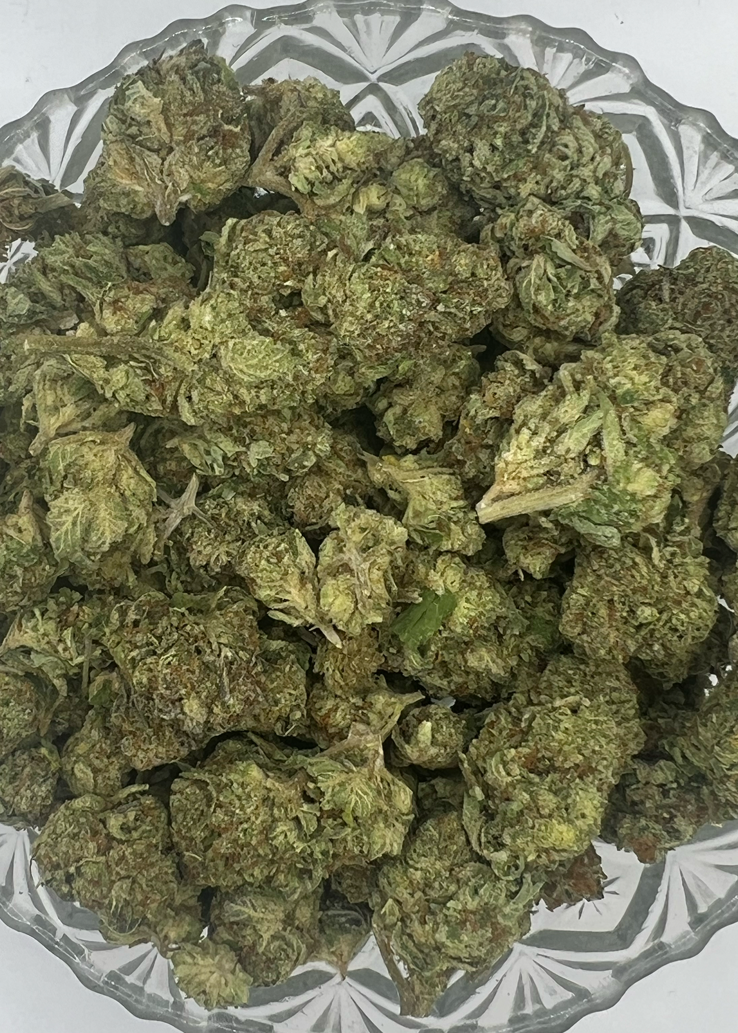 GMO (3.5 Grams)